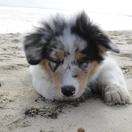 Haus Sylter Welle 8-87 Ob *